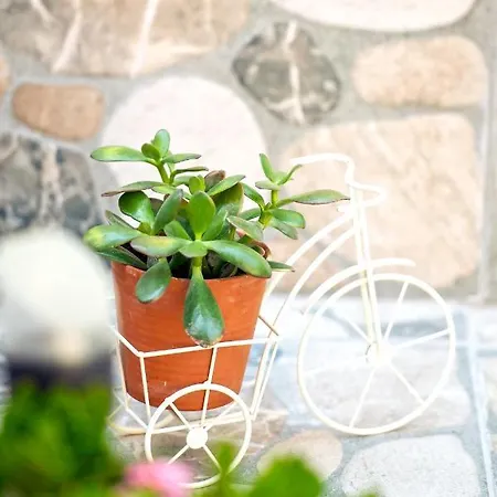 Lydia's House 度假居 *